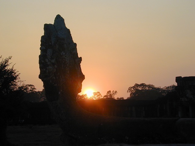 DSCN0242.jpg