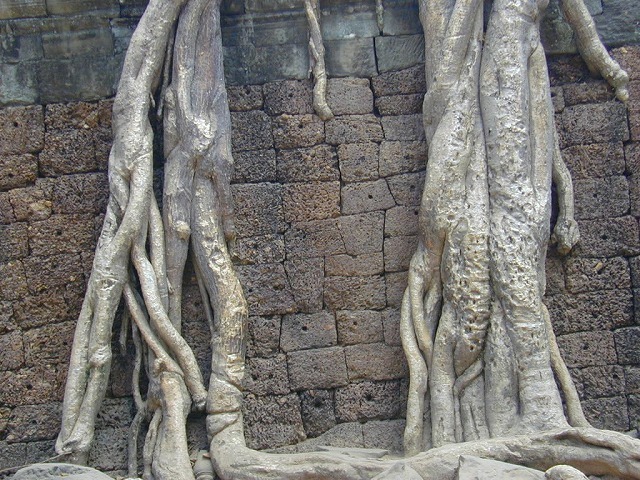 DSCN1192.jpg