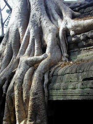 DSCN1196.jpg