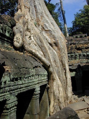 DSCN1200.jpg