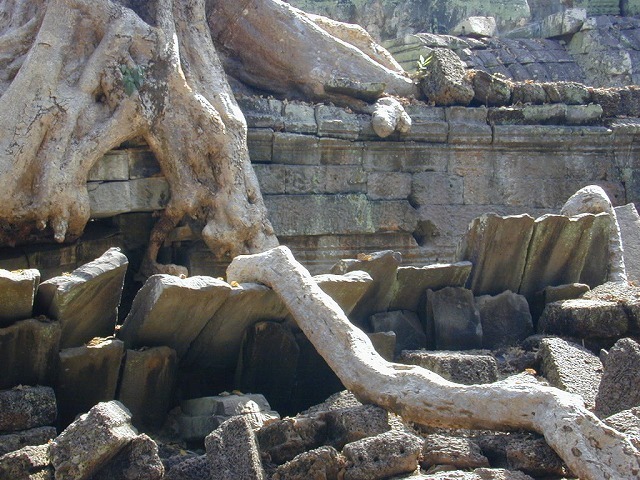 DSCN1201.jpg