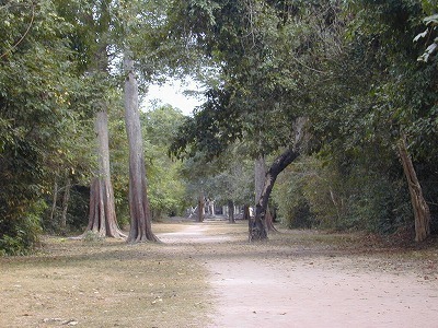 DSCN1249.jpg