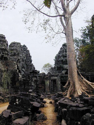 DSCN1256.jpg