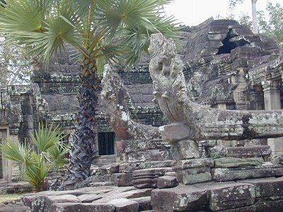 DSCN1272.jpg