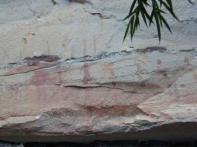 DSCN0048.jpg