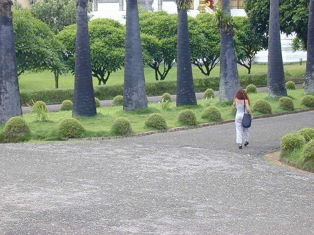 DSCN0397.jpg