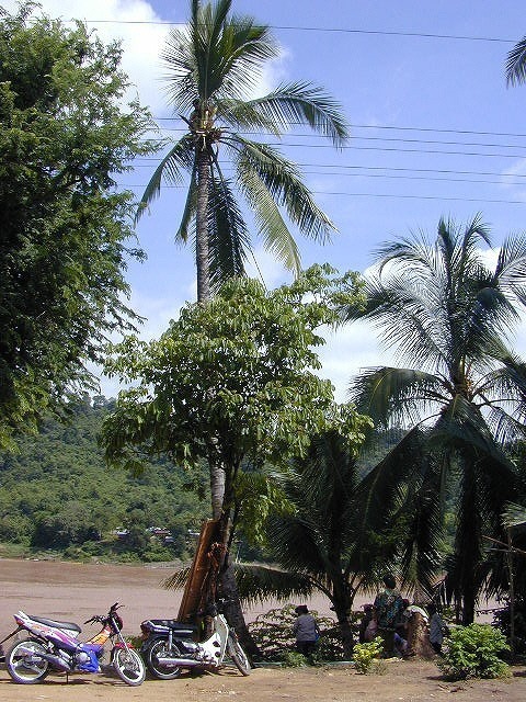 DSCN0466.jpg