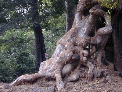 DSCN0479.jpg