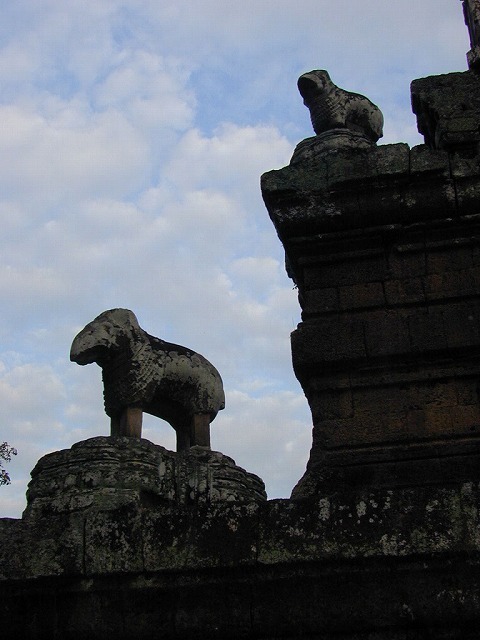 DSCN0484.jpg