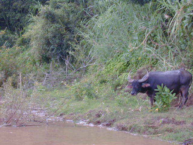 DSCN0570.JPG